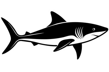 shark  silhouette vector