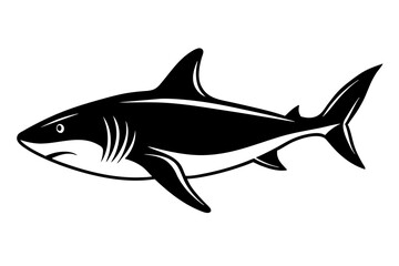 shark  silhouette vector