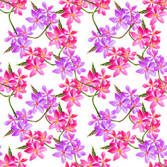 Pattern con bouquet di fiori rosa e viola isolati su sfondo bianco