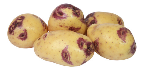 Pommes de terre Blue Belle	