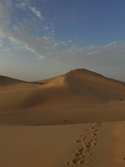 Desert in the evening in Dubai Abu Dhabi High way