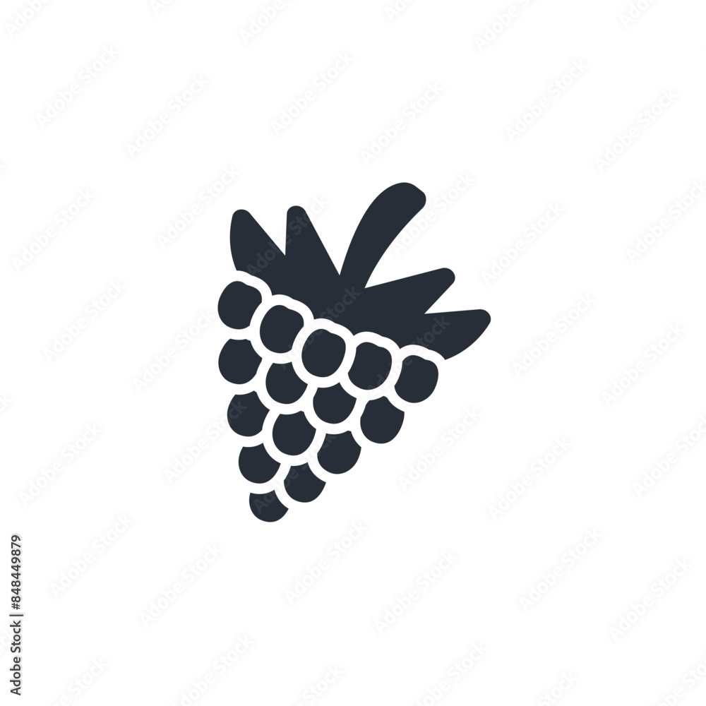 Poster raspberry icon. vector.editable stroke.linear style sign for use web design,logo.symbol illustration