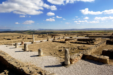 Andelos,  Roman city, Mendigorria, Navarra, Spain