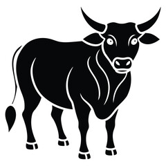black and white bull