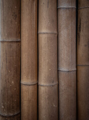 The backgrounds of bamboo trunks.