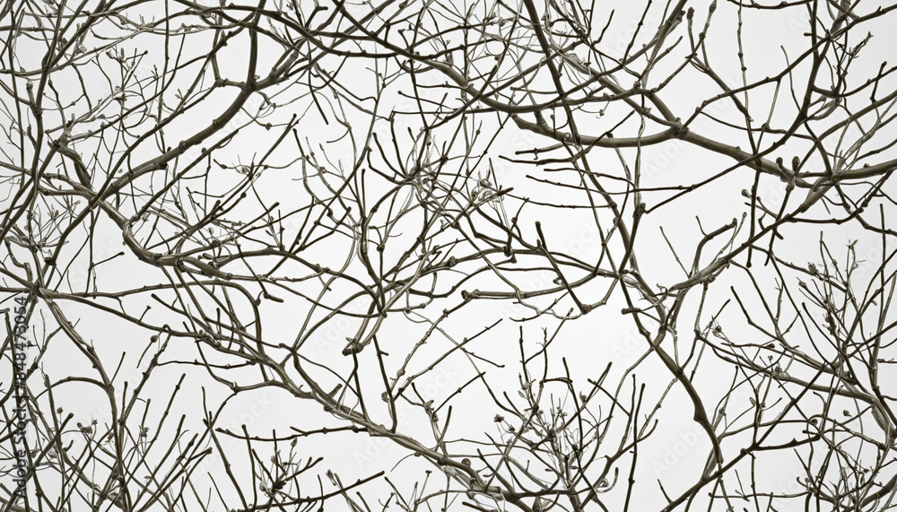 Aufkleber generative ai creates a stunning botanical collection of vector elements, seamlessly clipped and iso