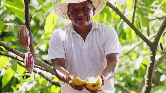 Farmer shows us with great pride and happiness a pod full of cocoa seeds.