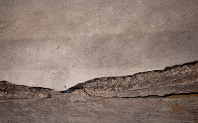 Texture of whale bone close up