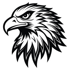 eagle head vector illustration