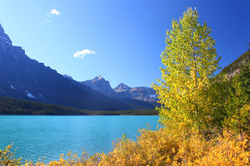 Naklejka premium Waterfowl Lakes in Banff National Park