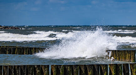 waves crashing on the beach