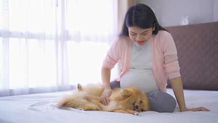 A portrait of happy Asian pregnant woman with domestic dog pet animal in bedroom at home. Having a baby. Family people lifestyle. Mom love.