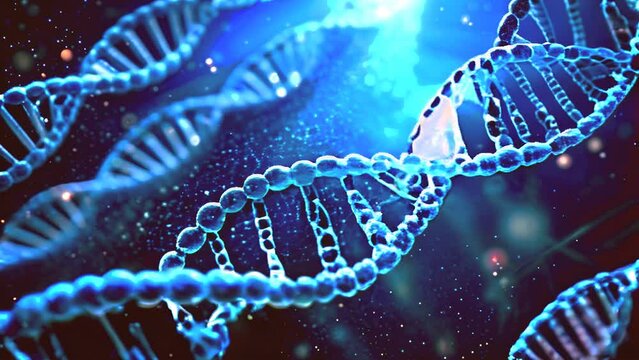 Journey Through Genetics: A Dynamic DNA and Haplogroup Visualization