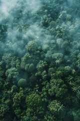 Fototapeta premium Aerial Drone Photo of Lush Green Tropical Forest in mist - Top View