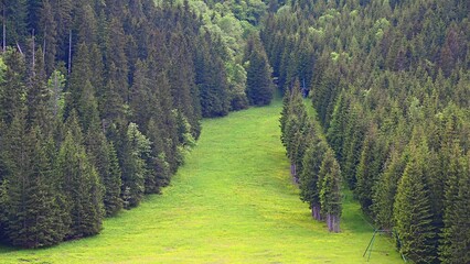  Dolina Kondratowa. Polana Kalatówki. © grzegorz