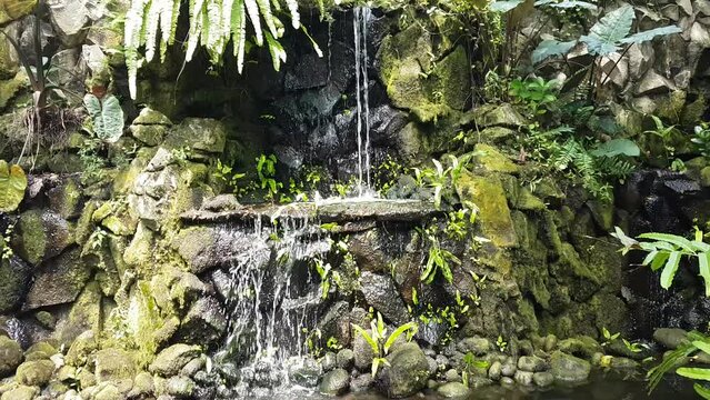 mini waterfall with rocks and some green plants in the background.