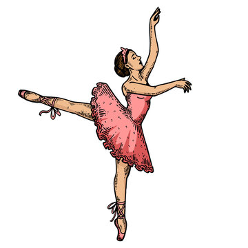 pink ballerina dancing gracefully clip art preview