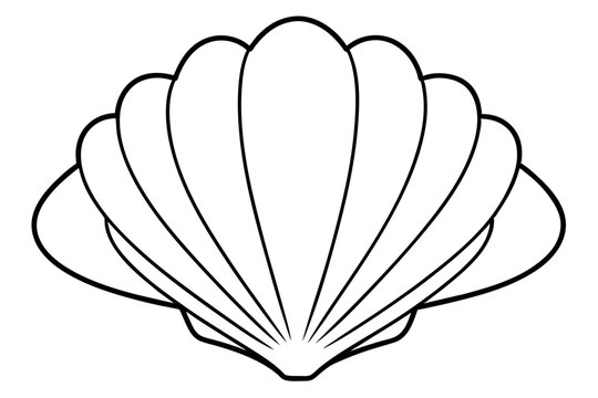 recommend clip art: Shell outline illustration of vector icon