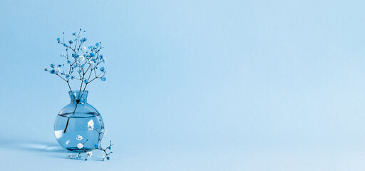 Beautiful blue gypsophila flowers on a blue solid background. Transparent blue vase with flowers. Banner. Front view.