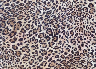  Luxury leopard background. Wild tiger pattern. Pantera animal print. Cheetah print. Snow leopard fur. © Feoktistova