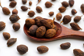 Black Cardamom or Greater Cardamom