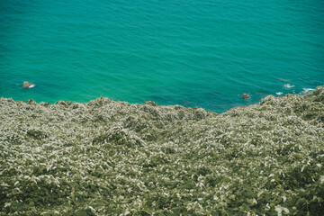 ocean view blue ocean