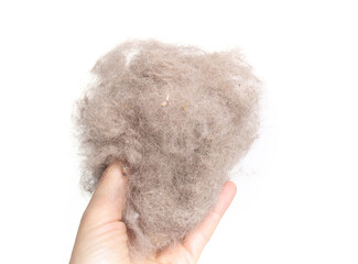 Lint pile held by hand. Collection of pet hair and debris from vacuuming or brushing carpet. Hand...