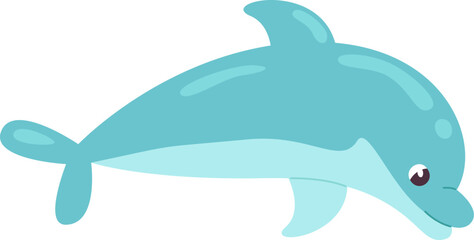 Dolphin Marine Animal