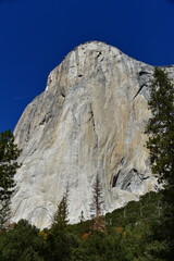View of the majestic El Capitan granite mountain seen from down in Yosemite Valley on a sunny day with clear blue sky