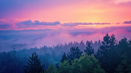 Obraz premium sunrise with vivid colors above misty mountain ranges, with silhouetted trees in the foreground
