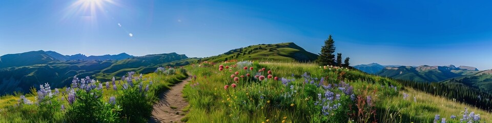 Fototapeta premium Scenic mountain trail under a clear sunny sky, with blooming wildflowers and a winding path, offering space for summer adventure text.