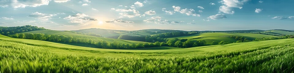 Obraz premium Beautiful Panorama of Rolling Green Fields. Spring or Summertime Background with White Fluffy Clouds and Natural Landscape