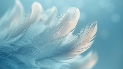 Naklejka premium Soft white feathers against a blue background, creating a dreamy and ethereal feel. Perfect for nature, beauty, and spirituality themes.