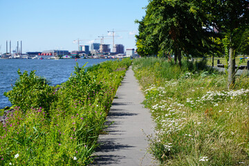 View of a walk path next to a river