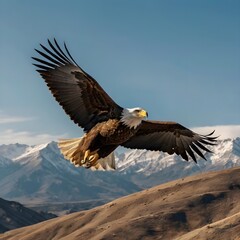 Obraz premium Soaring eagle, no gender, sharp and intense features and dark brown feathers.