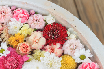水に浮かべた花（花手水）
