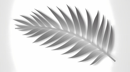 Realistic transparent shadow from a leaf of a palm tree on the white background. Tropical leaves shadow. Mockup with palm leaves shadow.