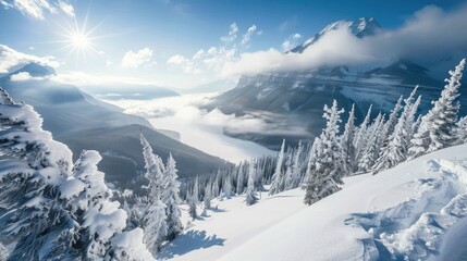 Fototapeta premium Scenic Landscape from Snowy Peak