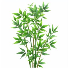 A bamboo plant clipart, house plant element, vector illustration, green, isolated on white background