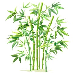 Obraz premium A bamboo plant clipart, house plant element, vector illustration, green, isolated on white background