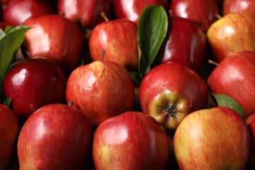 Fresh ripe red apples with leaves as background, closeup