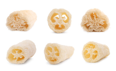 Natural loofah sponges isolated on white, set