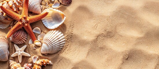 Seashells and starfish adorn sandy beach in a flat lay, perfect for adding text. Embrace the summer vibes.