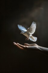 Obraz premium Two hands hold up an ethereal white dove against a black background. A symbol of peace or hope. Peace and spiritual harmony.