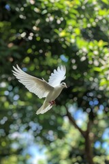 Obraz premium A white dove flies in the sky against a green background
