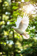 Obraz premium A white dove flies in the sky against a green background