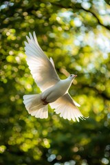 A white dove flies in the sky against a green background