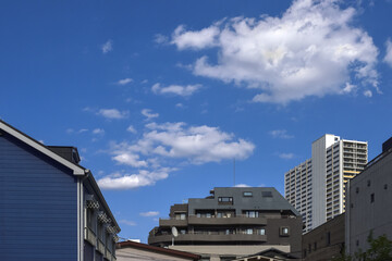 晴れた日の住宅街