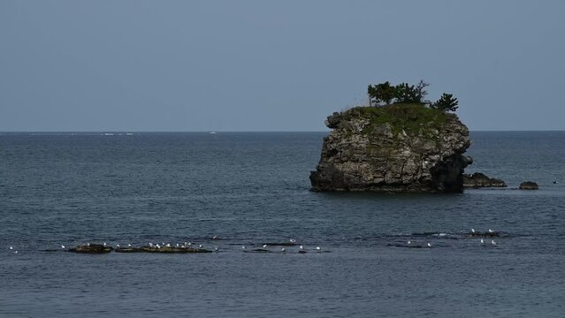 早春の雨晴海岸 （富山県高岡市, 2024年3月）