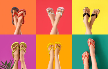 Set of legs in flip-flops on color background